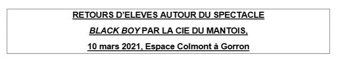 Aux Arts Collégiens! Travaux de retour du spectacle Black Boy par la Cie du Mantois, le 10 mars 2021 à Gorron par les classes de 4e et de 3e