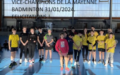 Championnat départemental badminton 31/01/2024